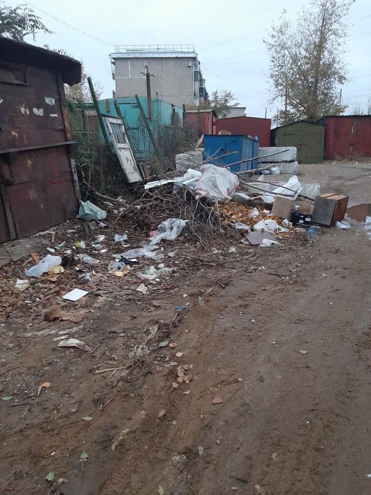 Жительница Каштака пожаловалась на мусор и брошенные деревья
