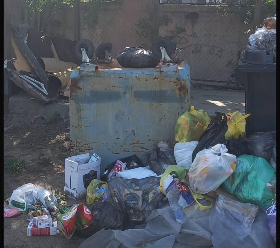 Жительница Читы пожаловалась на заполненную мусорку в центре города