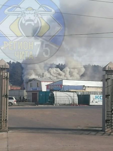 Пожар в магазине случился в Сенной Пади в Чите
