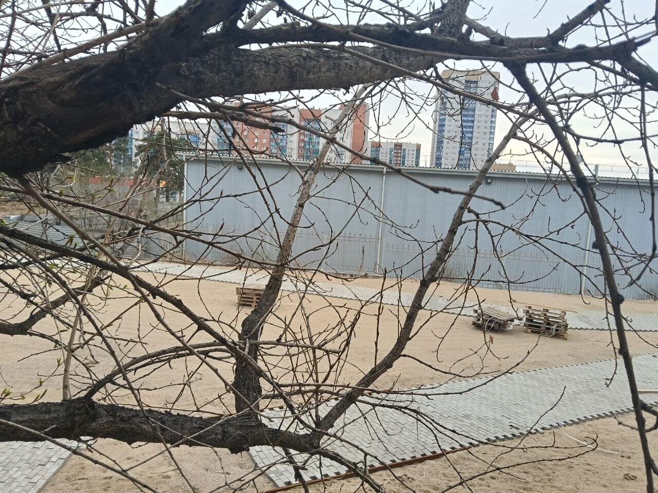 Человек слова. Двенадцать лет обещаний. Два частокола. Один человек.