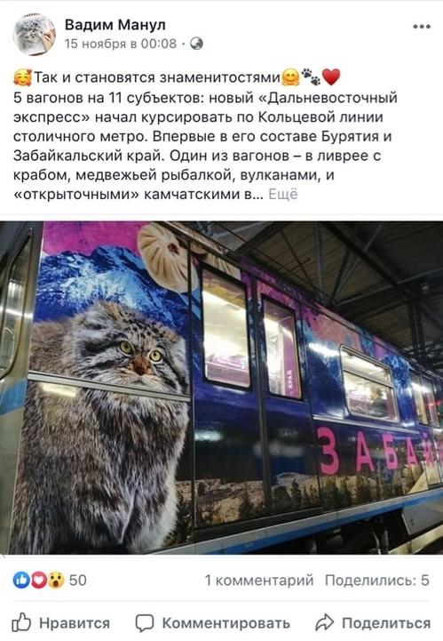 Забайкальский кот манул попал в «Дальневосточный экспресс» московского метро